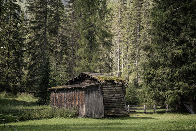 Old hut in the forest, italy