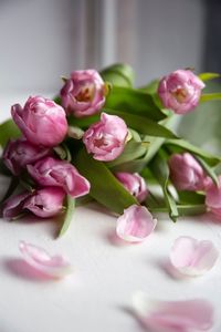 Close-up of pink roses