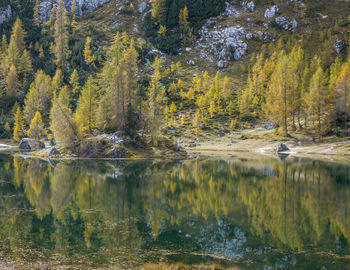 Lago federa in autumn with early snow in dolomites italy, close to croda da lago