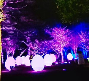 illuminated