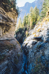 Rock formation amidst trees against sky