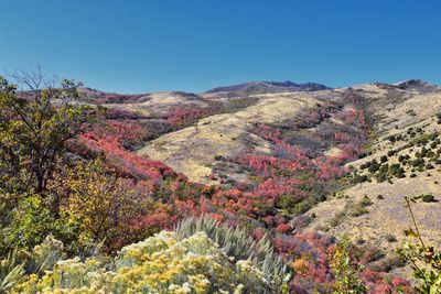 Scenic view of mountains against clear blue sky