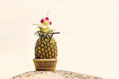 Close-up of fruits on table against white background