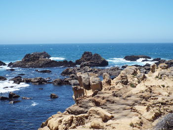 Scenic view of sea against clear sky