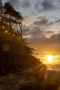 Scenic view of trees against sky during sunset