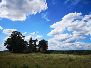 Trees on field against sky