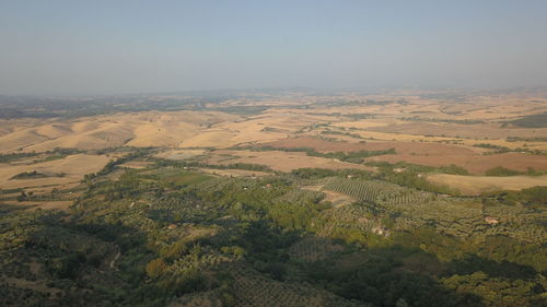environment