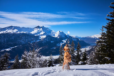 Person on snowcapped mountain against blue sky