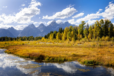 View of the grand teton mountains from schwabacher landing on the snake river. grand teton 