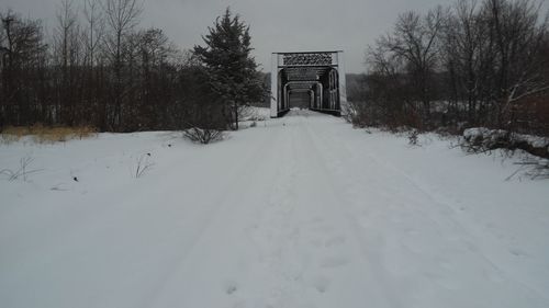 Snow covered road amidst trees during winter