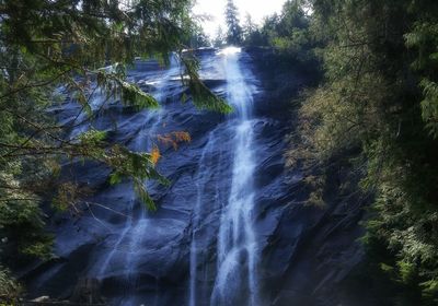 Waterfall in forest