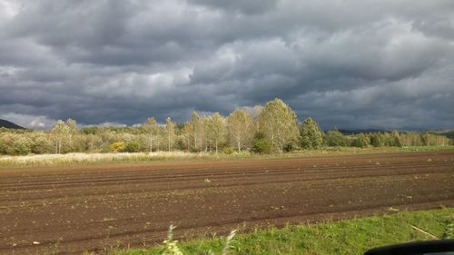Scenic view of grassy field against cloudy sky