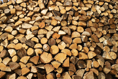 Photographic documentation of a large pile of firewood in reserve for the winter