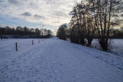 Snow covered trees on field against sky