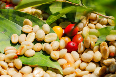 Close-up of fruits