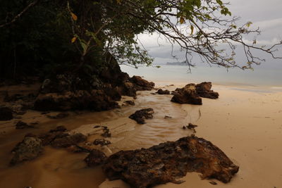 Rocks on beach against sky