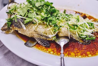 Close-up of steamed fish in plate