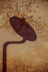 Close-up of shadow on sand