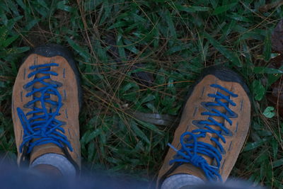 Low section of person standing on grassy field