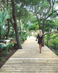 Rear view of woman walking on tree