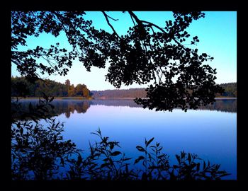 Reflection of trees in calm lake