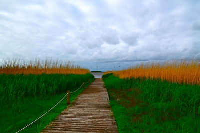 Dirt road along plants on field against sky