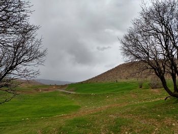 Scenic view of landscape against sky