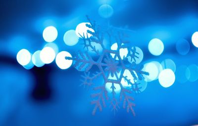 Close-up of snowed plant against blurred background