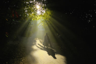 Man riding motorcycle on road in forest