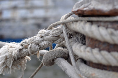 Close-up of rope tied on wood