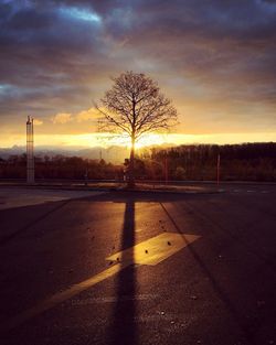 Silhouette bare tree by road against sky during sunset