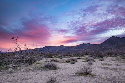 Scenic view of landscape against dramatic sky