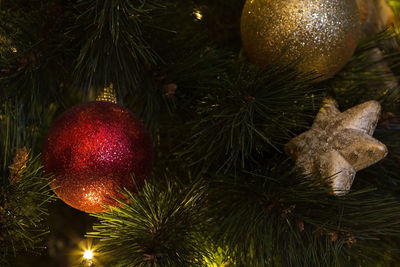 Close-up of christmas tree at night