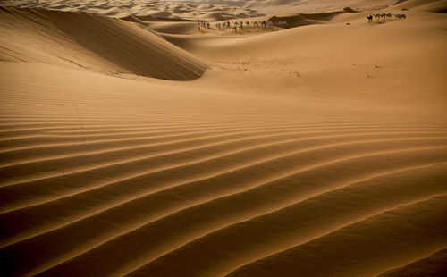 Full frame shot of sand dune