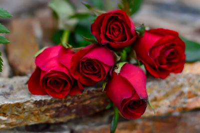 Close-up of rose bouquet