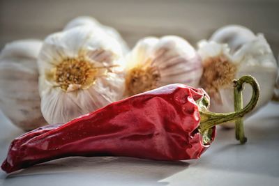 Close-up of red chili pepper with garlic bulbs