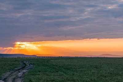 Scenic view of field against sky during sunset