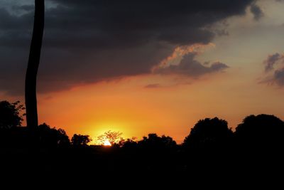 Silhouette trees against sky during sunset