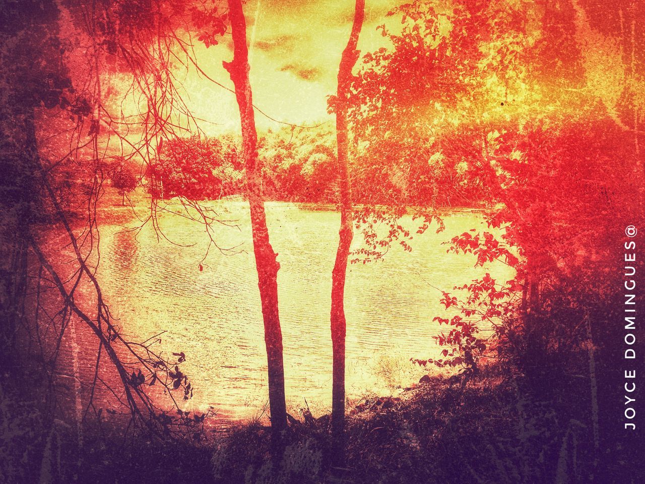 red, backgrounds, window, full frame, sunset, indoors, close-up, no people, day, frosted glass