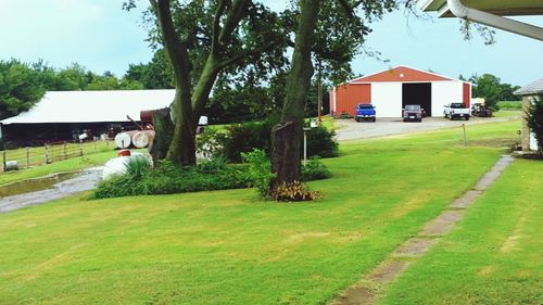 Trees and houses in yard