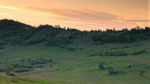 High angle view of trees on field against sky