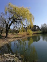 Scenic view of lake against clear sky