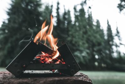 Bonfire on wooden log