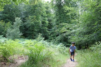 Rear view of man walking in forest