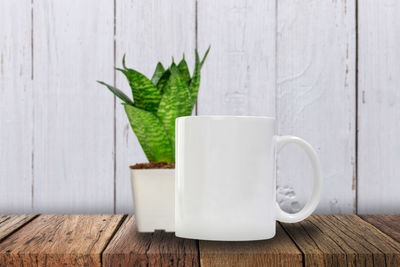 Close-up of potted plant on white table