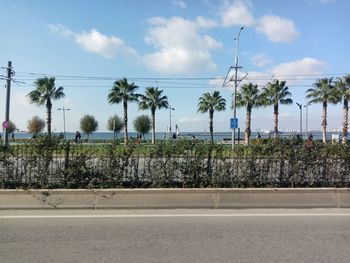 Road by plants and trees against sky in city