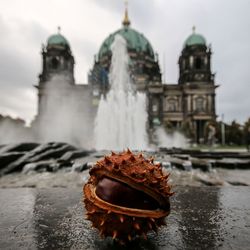 Close-up of fountain