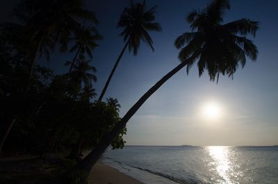 Silhouette palm trees on beach against sky at sunset