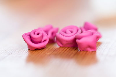 Close-up of pink rose