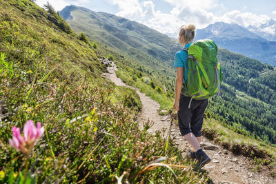 Rear view of hiker